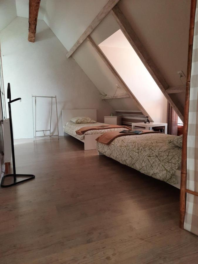 La Maison Genevier - Chambre La Family Montreuil-en-Touraine Luaran gambar